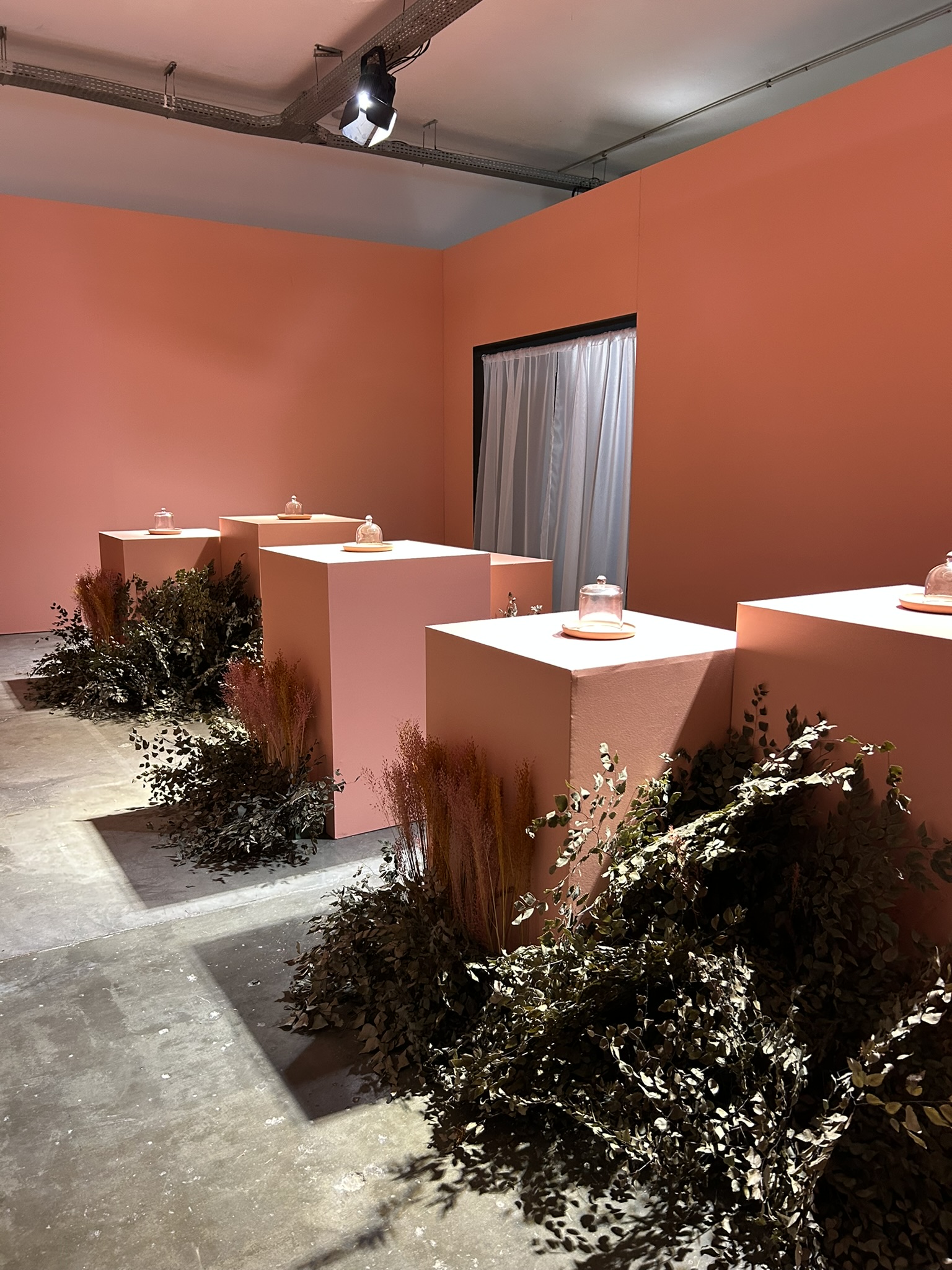 SENSORY | SP COFFEE FESTIVAL ’25